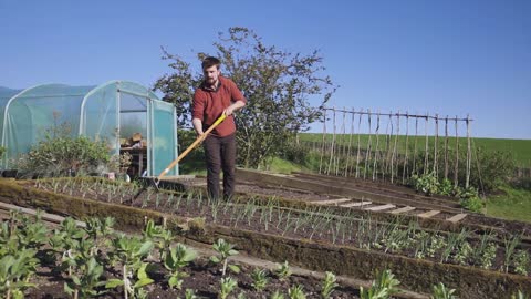 How to Start Growing Your Own Food What to Focus on First