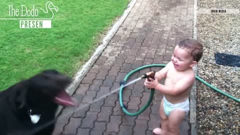 Baby laughing with pets