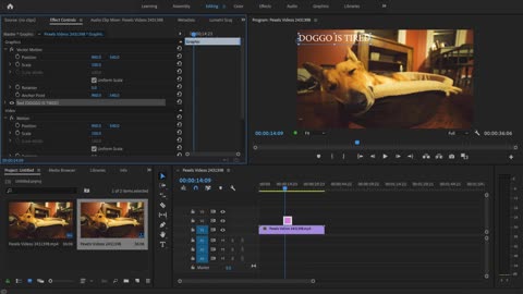 How to Add Text in Premiere Pro 2021