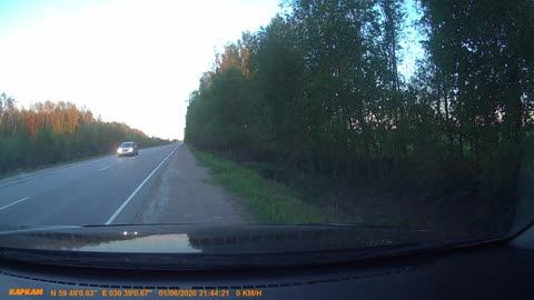 Moose Crossing a Road Gets Hit