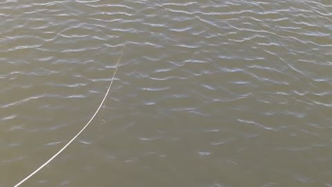 Crabbing in Rockport