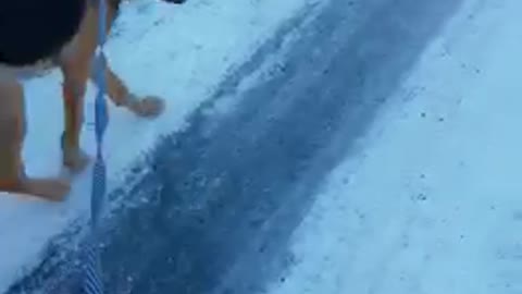 Dog on ice slips away - funny