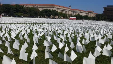 Washington DC Covid Memorial White flag display