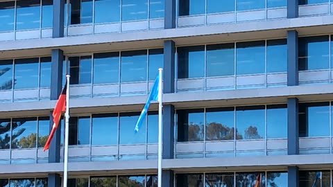 WHY is the UN flag flying at every Government Building?