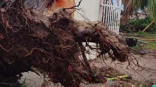 Damage of Hurricane Maria