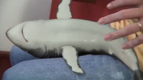 Funny Baby Shark random CGI