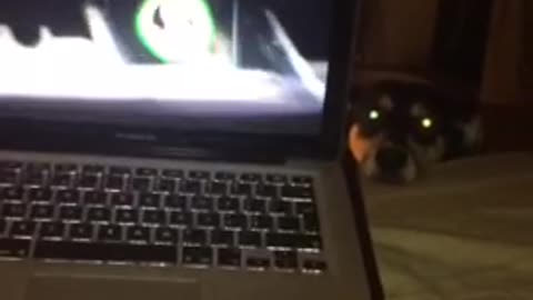 Dog with glowing eyes hides behind laptop as show plays