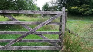 Go pro flying through gate