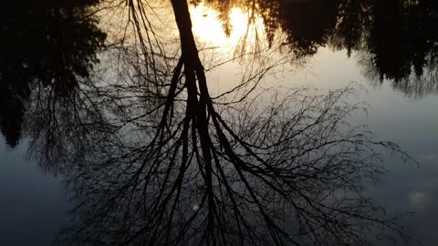 This world is upside down － sunset reflection