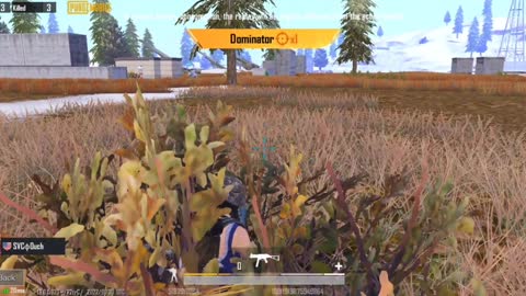 Low 200 meter to a bush and win