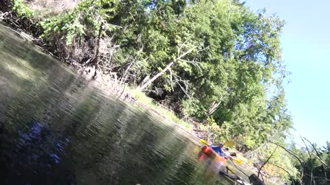 Kayaking the Crystal River