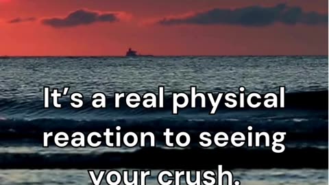 Crush Fact