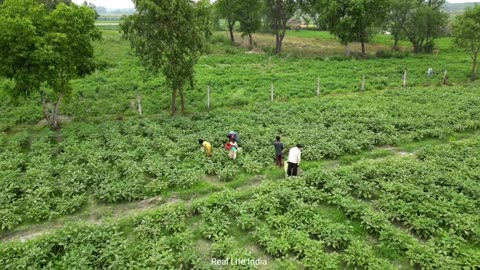 Life Of The Poor In Uttar Pradesh India {} Rural Life In Indian {} Indian Village Lifestyle