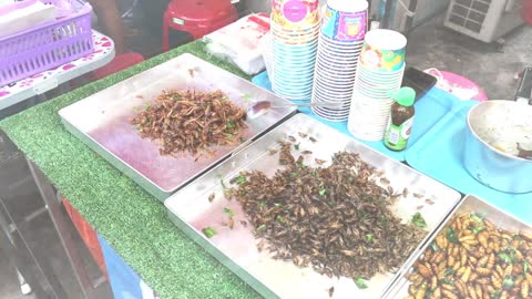 Thailand's Night Market and Street Food