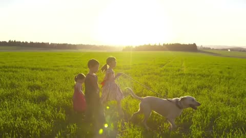 Caring for Pets in Child Care