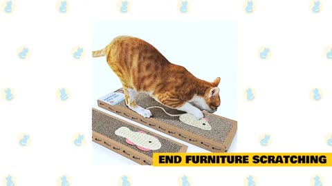 End furniture scratching and behaviour training part 2