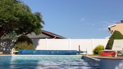 Pup Scares Person in the Pool