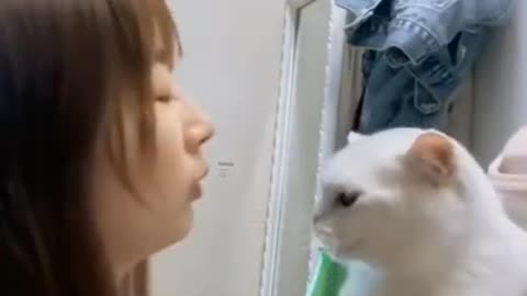 Cute Cat Kissing Owner #shorts