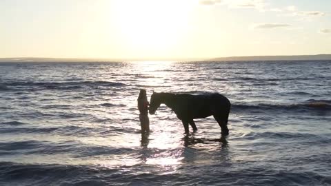Young sexy woman dressed bikini rest with horse in the river water sunset