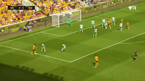 A Neves stunner! _ Wolves 1-1 Newcastle _ Highlights