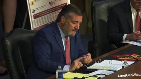 Sen. Cruz: Confronts FBI Director Wray about Governor Whitmer Kidnapping Plot And FBI Entrapment