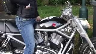 Harley Davidson V-Rod Street Rod (2008) First ride (Exhaust sound).