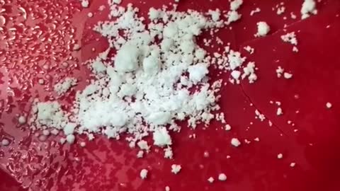 GOMA DE TAPIOCA NO MICROSCÓPIO 🔬