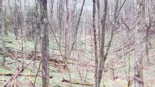 Trail Video 02 of Spring 2022