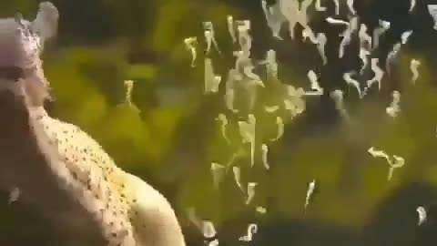 Male seahorse giving birth