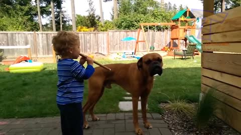 Kids and their doggy friends