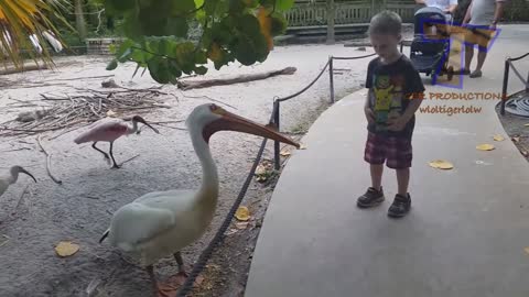 Funny kids vs Zoo animals