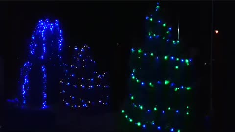 Cool illuminated trees