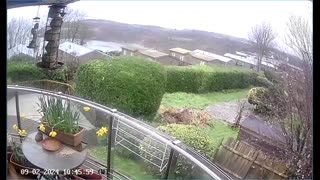 Saint Mary's cove Brixham and bird feeder