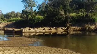 16.6.2024 The Barron River, Kuranda