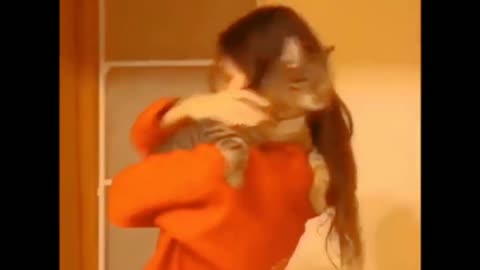 Affectionate cats with their owners