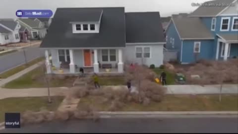 TUMBLEWEED takes over Utah town leaving residents buried under bushel of thorny branches