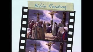 June 29th Bible Readings