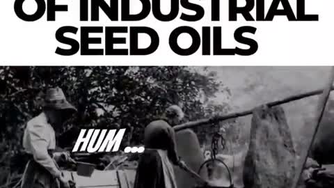 Dark History of Industrial Seed Oils ~