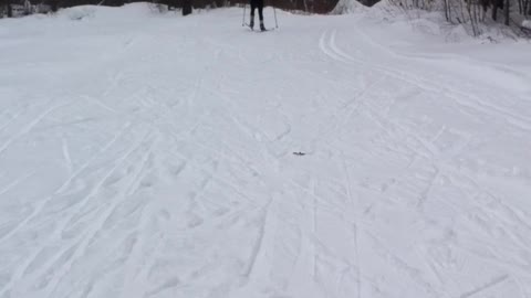 Great Canadian Rural Pastime Skate Skiing