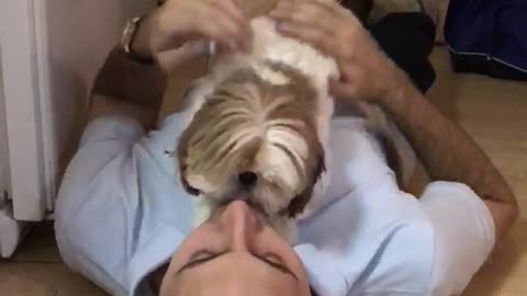 Dog greets dad after traveling