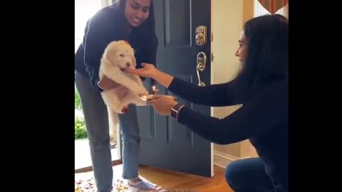 Indian Family Welcoming Puppy First time