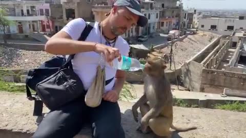 Man giving 🐒🐒water to Monkey