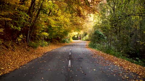 Road - Beautiful Nature Videos #1