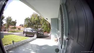 Doorbell Greeting Fail
