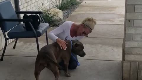 The missing dog from Oklahoma met with the owner after more than a year