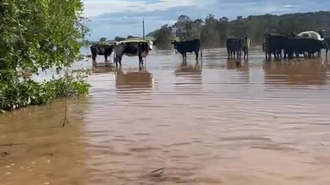 3 March 2022 Dave Oneegs NSW floods Jetski Chat