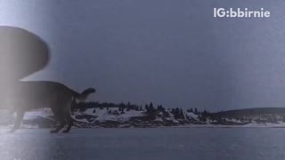 Guy black shirt ice skating in circles around dog