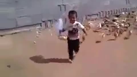 Funny, chicken chasing this kid around the compound.