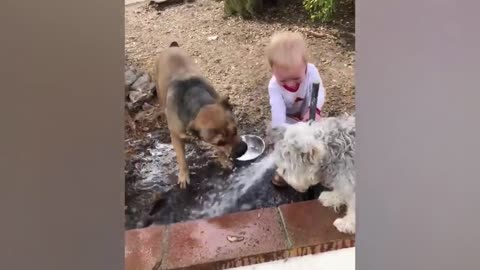 Babies Playing Water In The Pool | PatPat