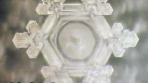 Mensajes del Agua - Dr. Masaru Emoto